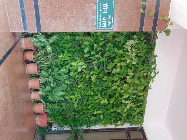 Green WALL