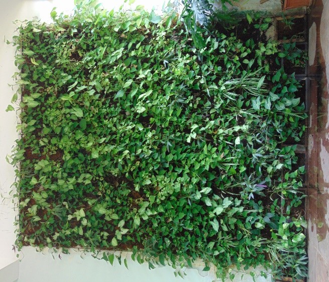 Green WALL